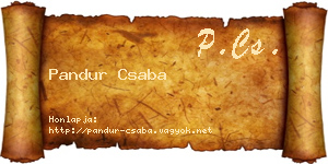 Pandur Csaba névjegykártya